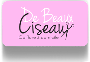 De beaux ciseaux